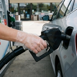 Bag of 100 Polyethylene Gloves - GLOVA