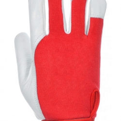 Cotton/Goat Leather Glove with Velcro Adjustment - GLOVA